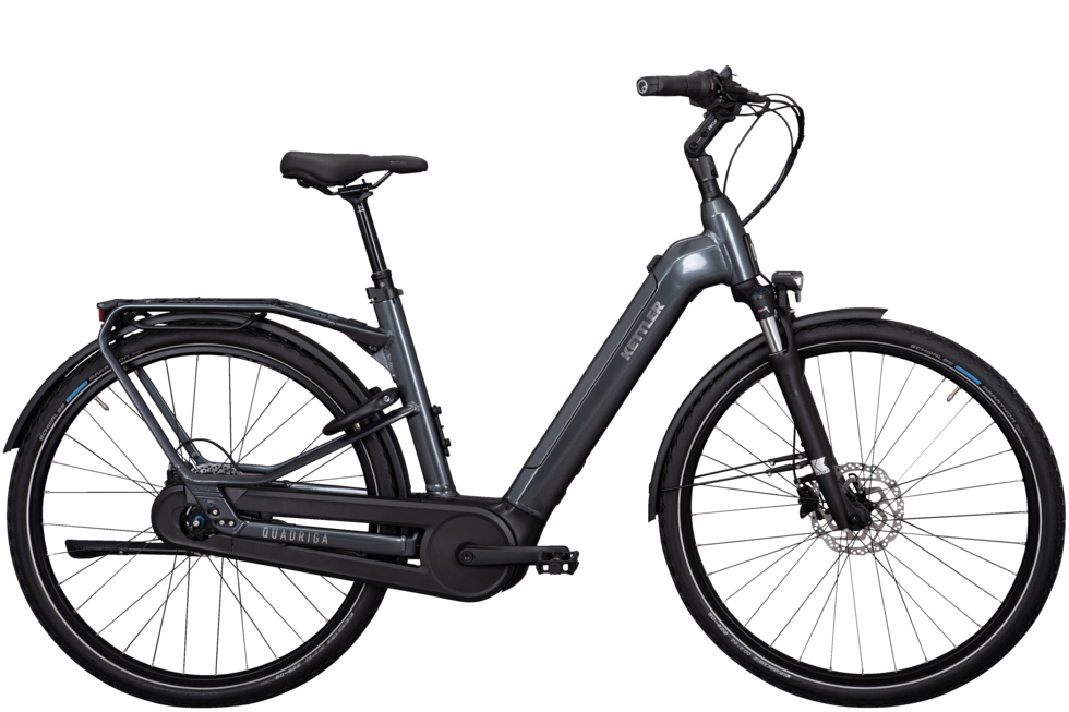 Quadriga P5 HD Benelux Belt | RT