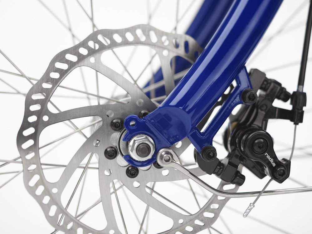 Shibori Cruiser Go! | FL